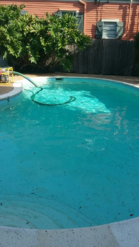 Photo of Penguin Pool Services