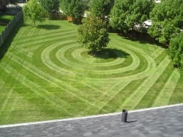 Photo of Green Effect Land & Tree