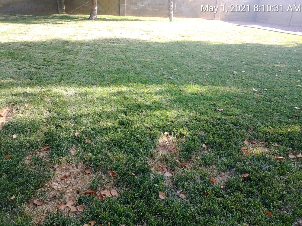 Photo of A1 Lawn Aeration