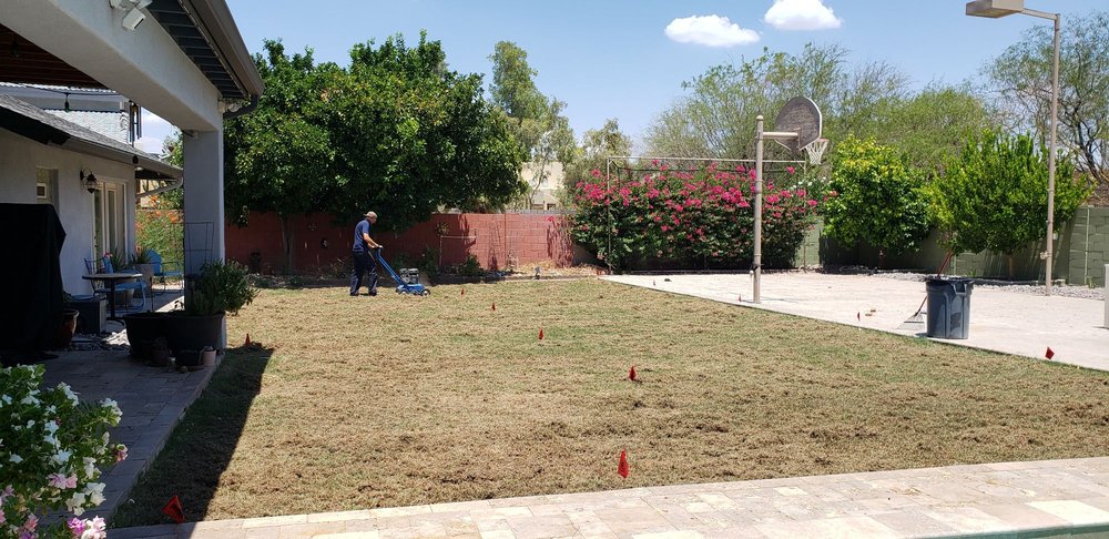 Photo of A1 Lawn Aeration