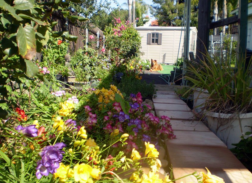 Photo of Chase Pacific Property Management Services