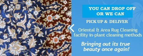 Photo of Showcase Carpet & Tile Cleaning