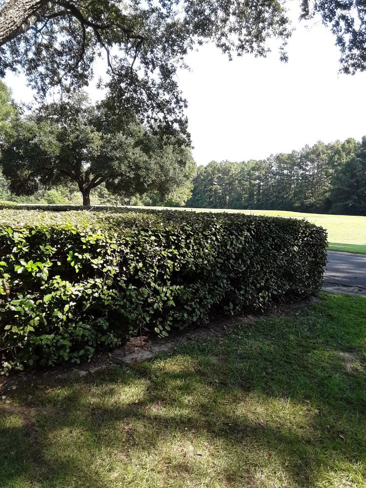 Photo of J&H Lawn Care Services