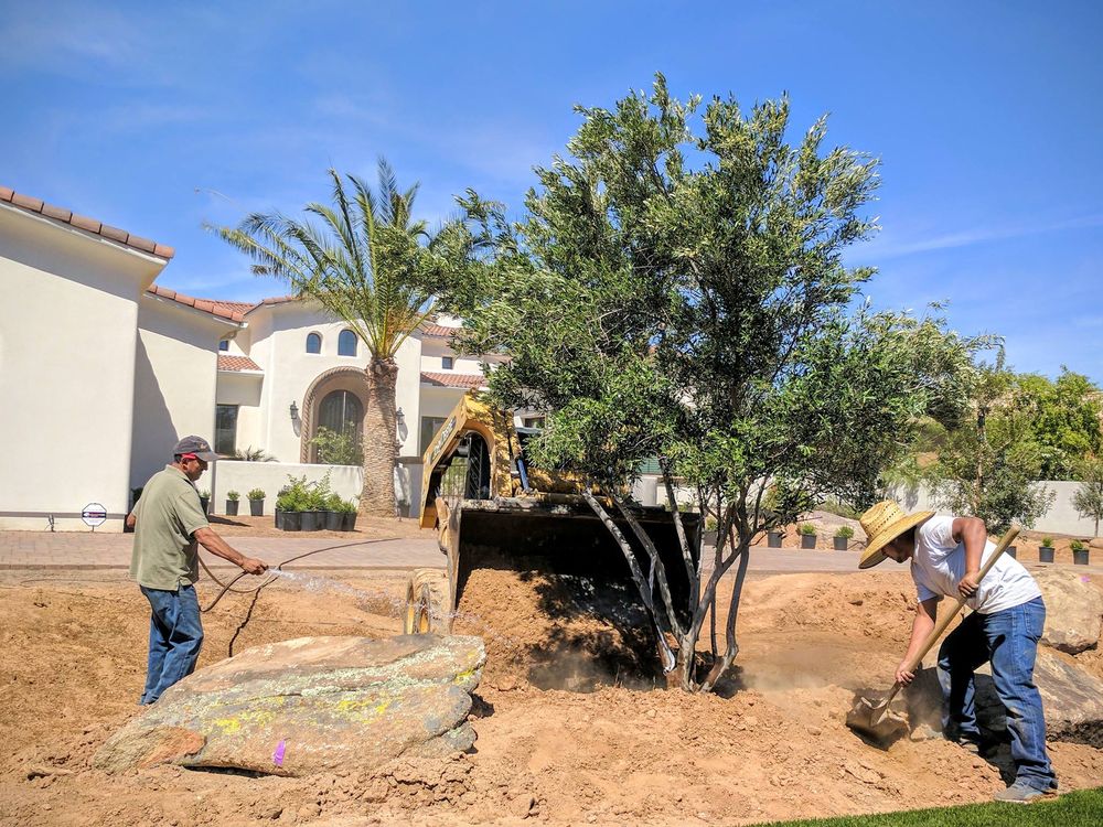 Photo of Barrett Landscape Design