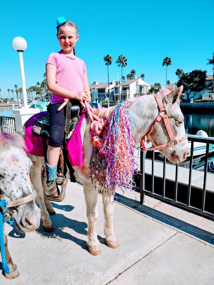 Photo of My Little Pony Rides