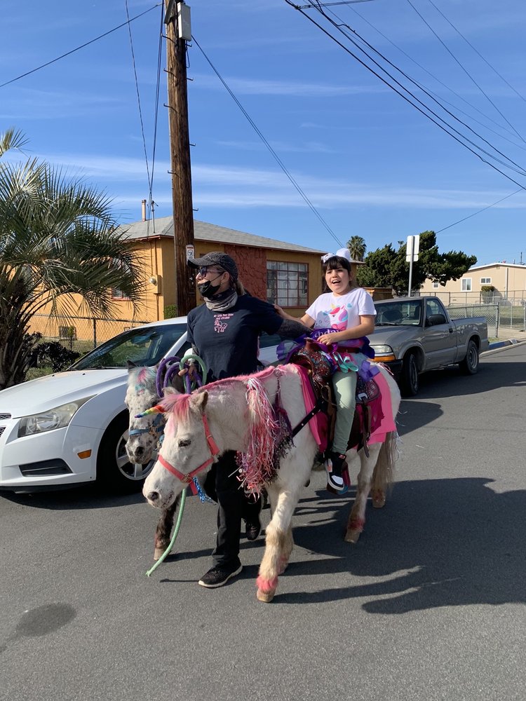 Photo of My Little Pony Rides
