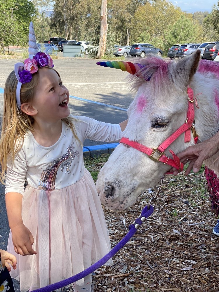 Photo of My Little Pony Rides