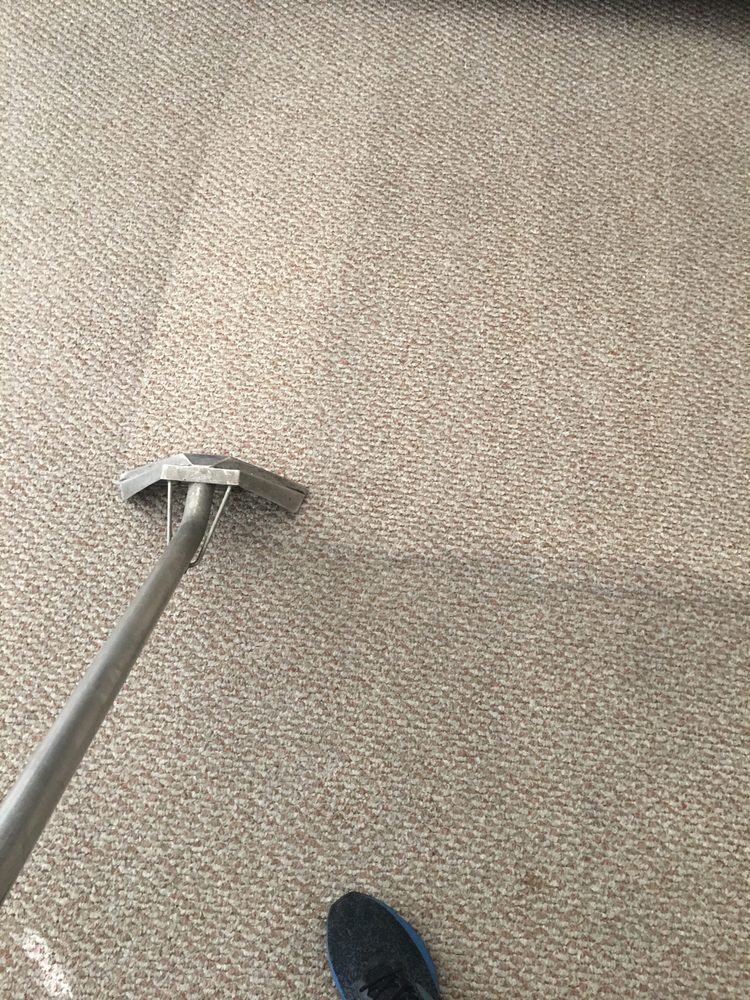 Photo of Omega Steam Carpet Cleaning & Water Restoration