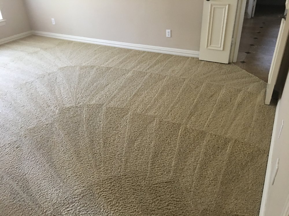 Photo of Omega Steam Carpet Cleaning & Water Restoration
