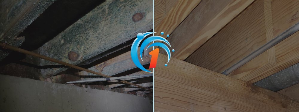 Photo of Restoration 1 of Greater Indianapolis