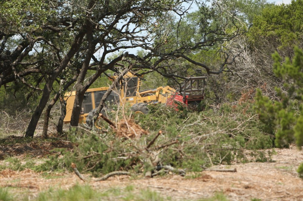 Photo of Cedar Eater of Texas