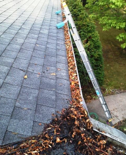 Photo of Pristine Residential Services