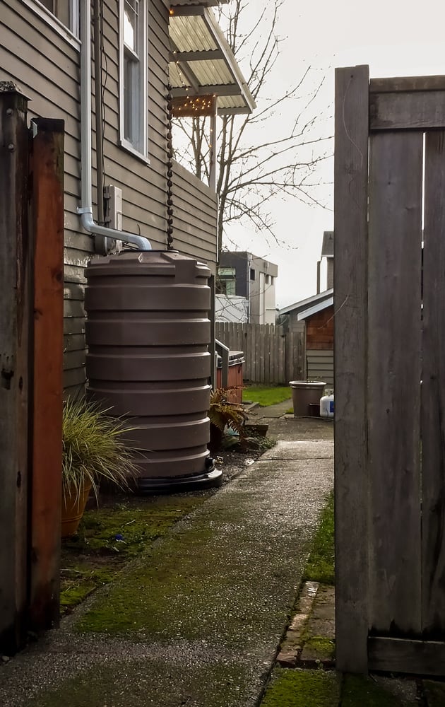 Photo of Monsoon Rain Gardens