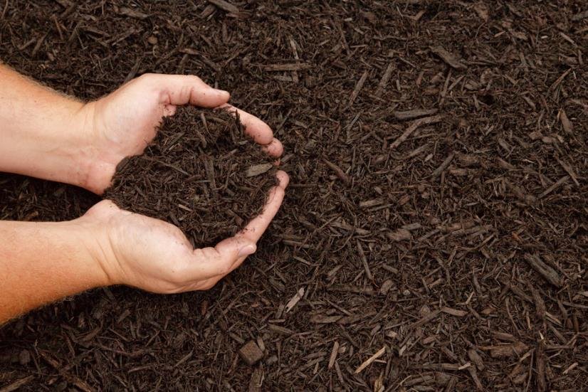 Photo of Navas Landscaping
