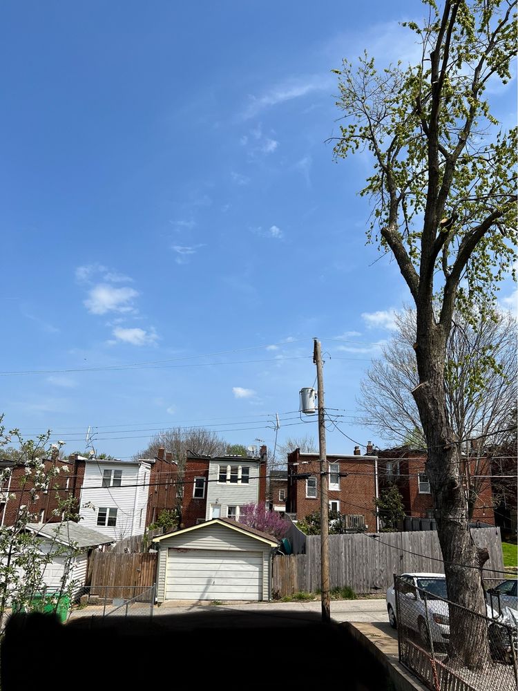 Photo of JR Tree and Lawn Care