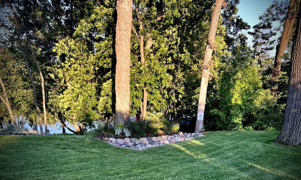Photo of Mississippi Gardens