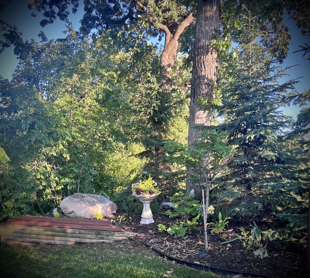Photo of Mississippi Gardens
