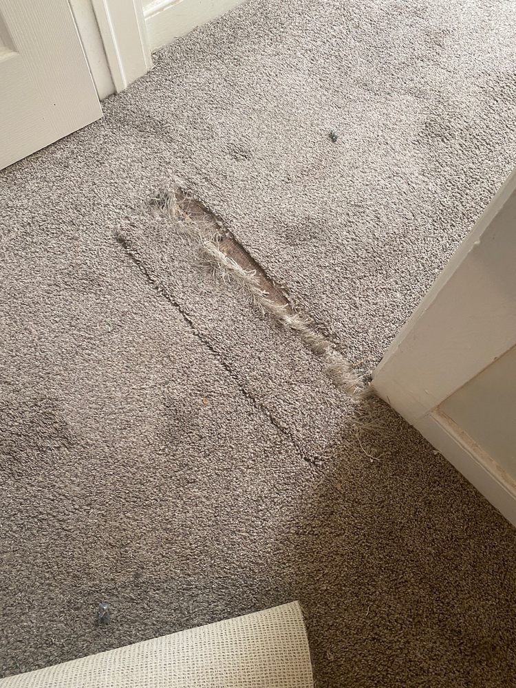 Photo of Carpet Doctors