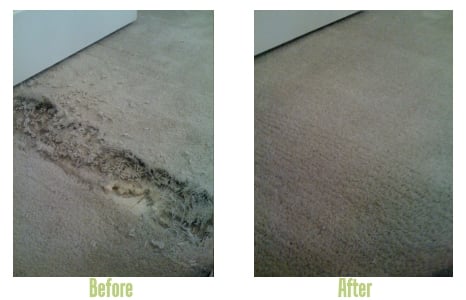 Photo of Carpet Doctors