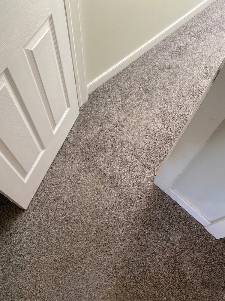 Photo of Carpet Doctors