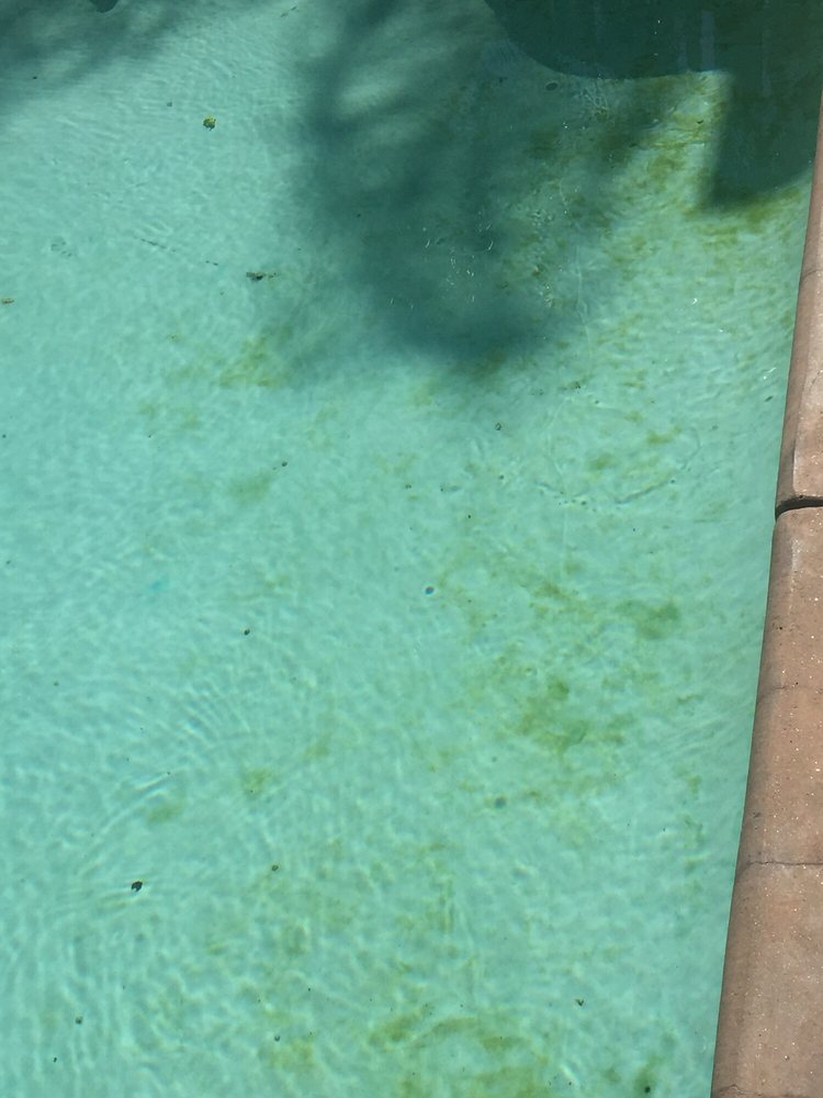 Photo of Neverwinter Pools