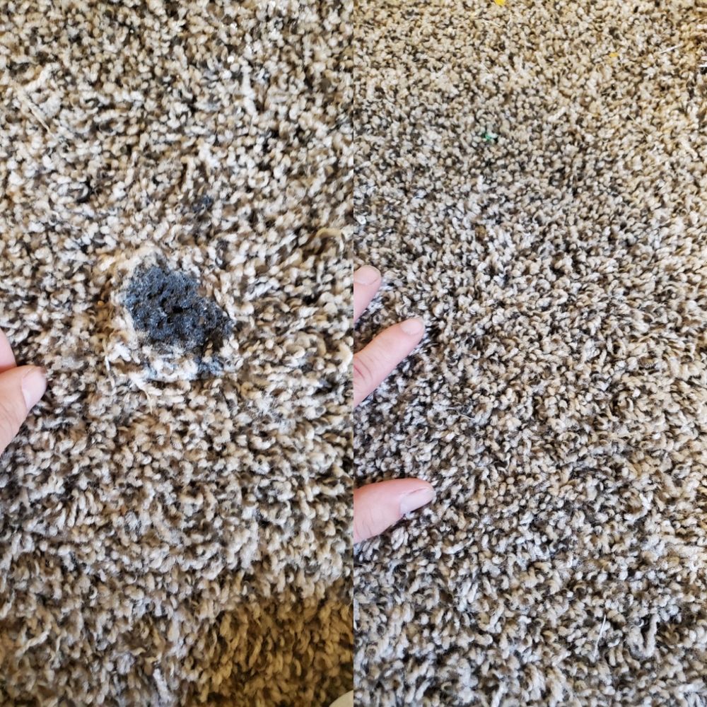 Photo of All American Cleaning & Restoration