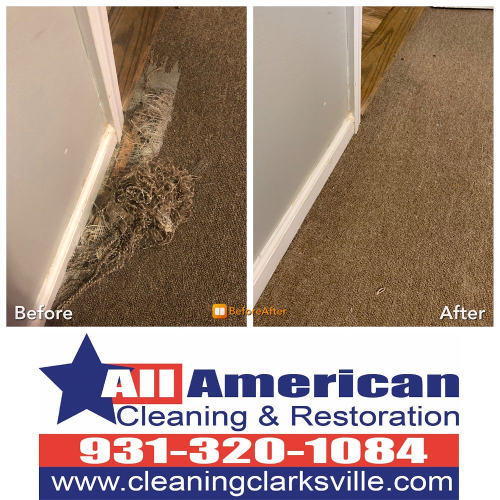 Photo of All American Cleaning & Restoration