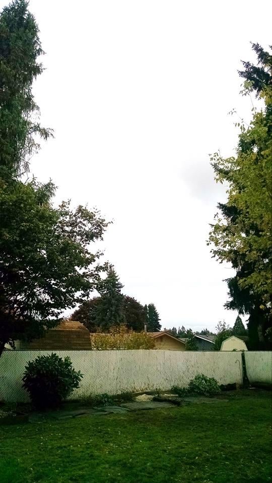 Photo of Rose City's Premier Lawn & Garden