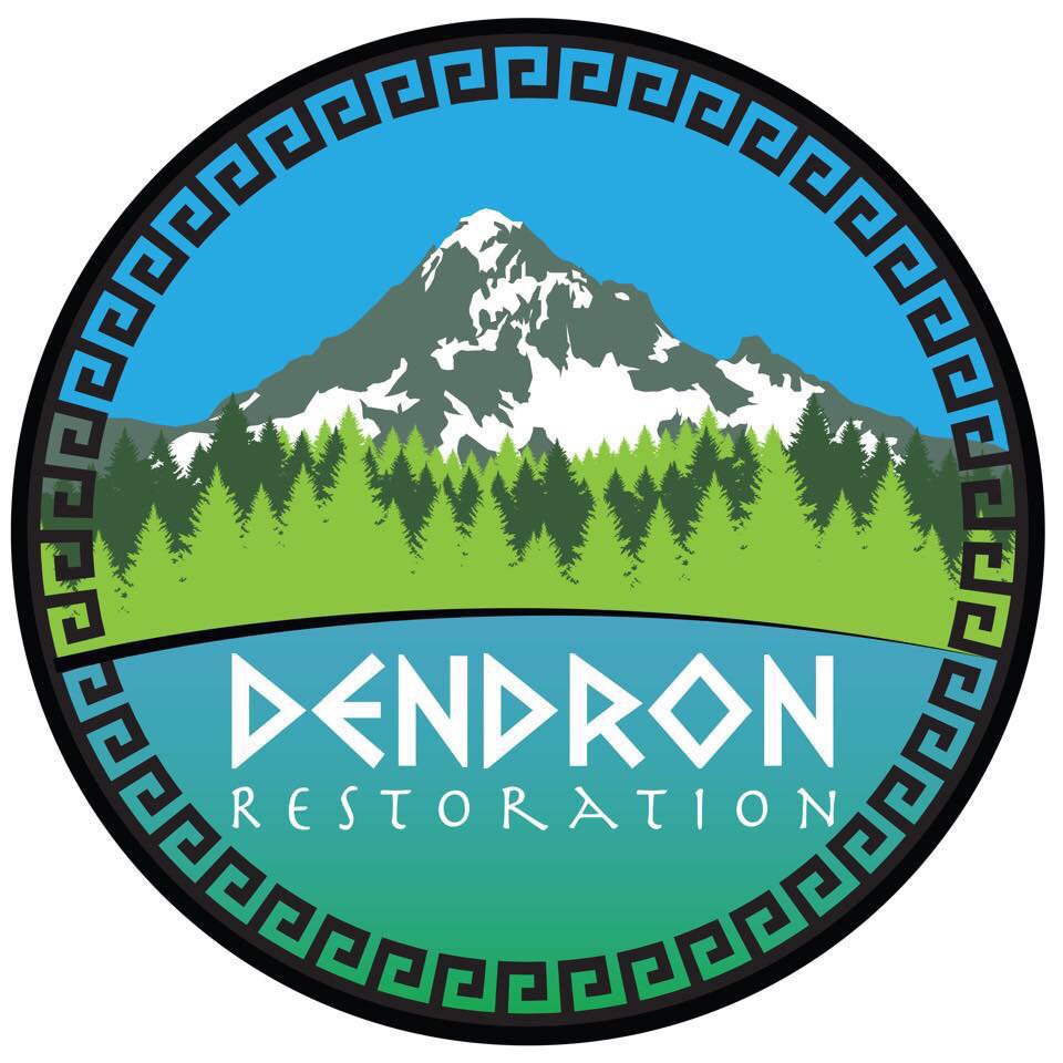 Photo of Dendron Restoration