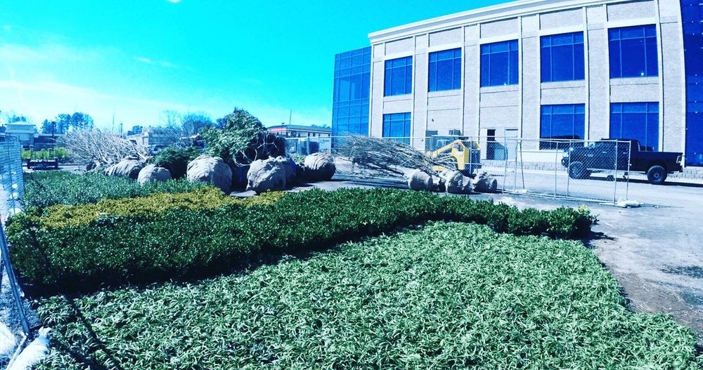 Photo of Ideal Landscape Solutions