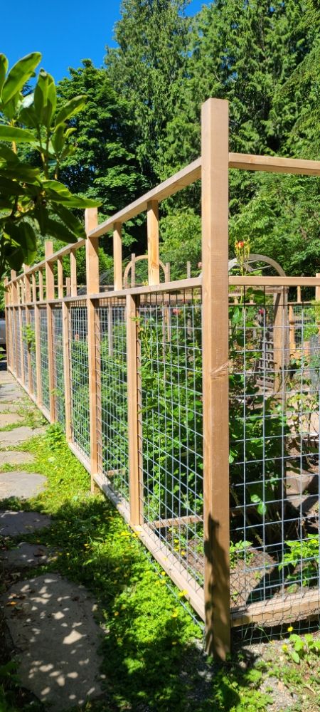 Photo of Green Thumb Solutions