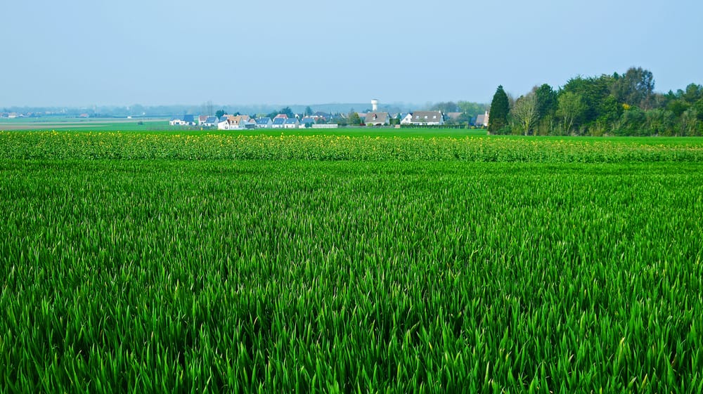 Photo of Mid Atlantic Solar Solutions