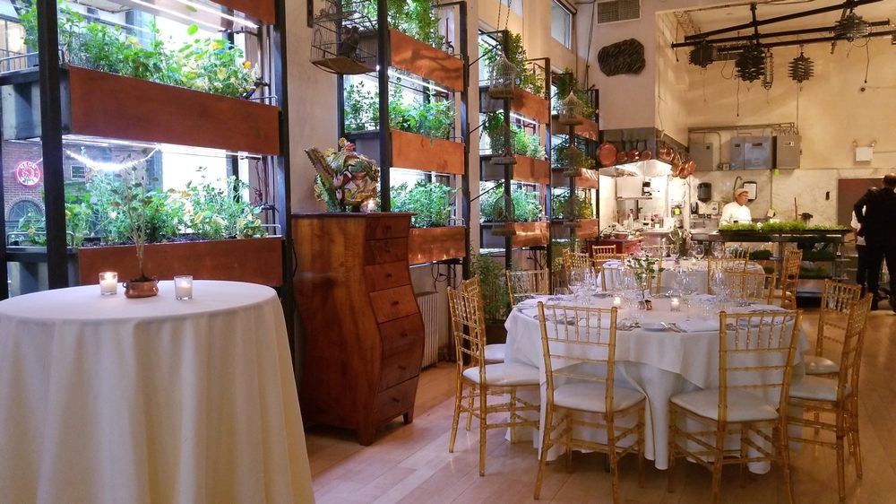 Photo of Bouley Botanical