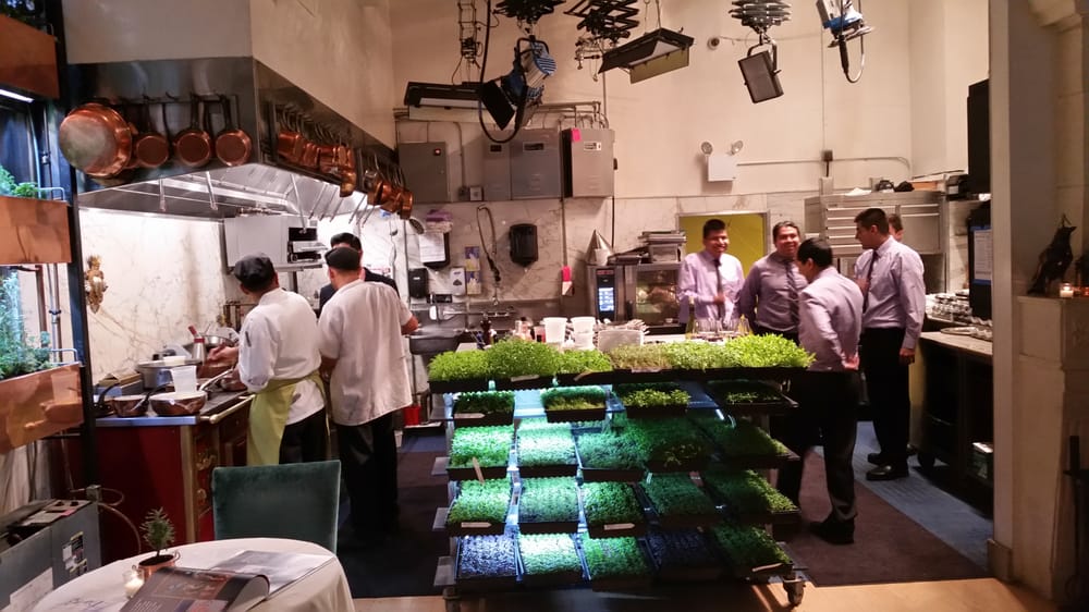 Photo of Bouley Botanical