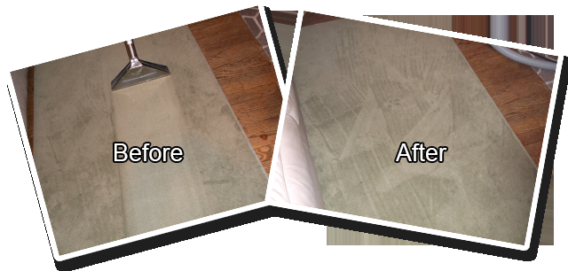 Photo of DG Busy Bee Cleaning Service