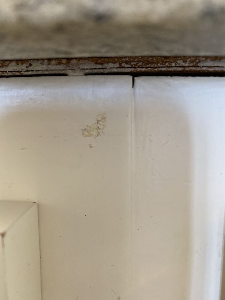 Photo of Accent Cleaning 415