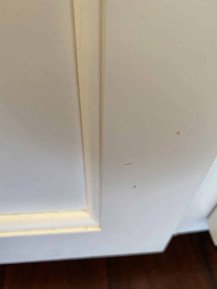 Photo of Accent Cleaning 415