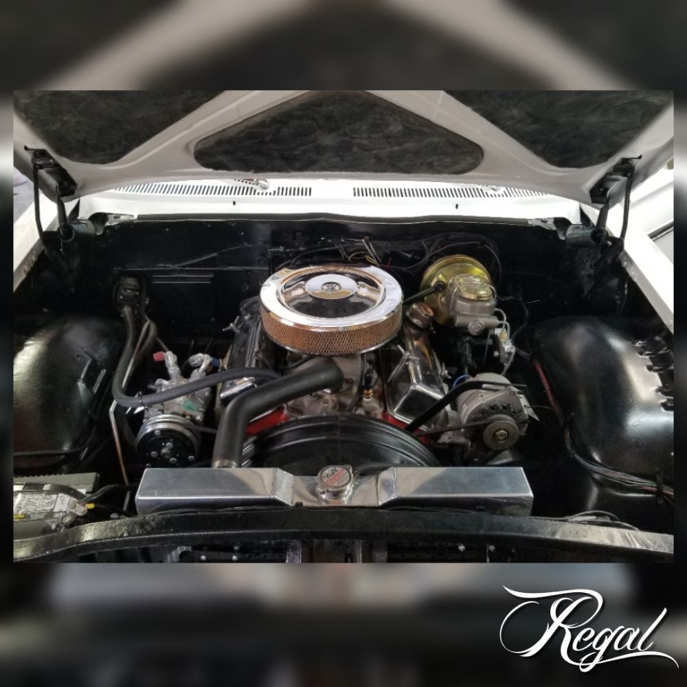 Photo of Regal Fine Automotive Detailing