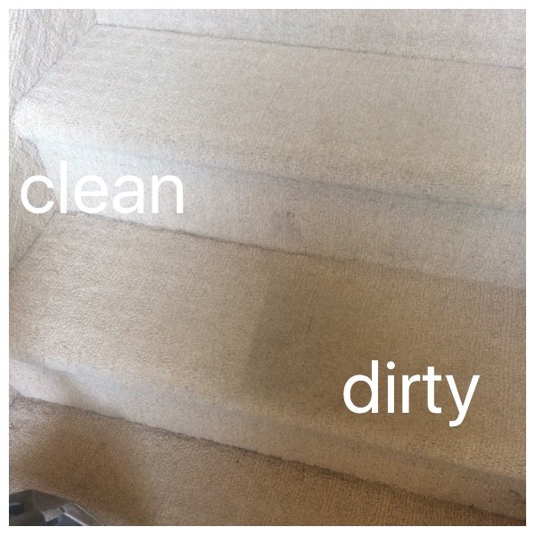 Photo of Infinity Carpet Care