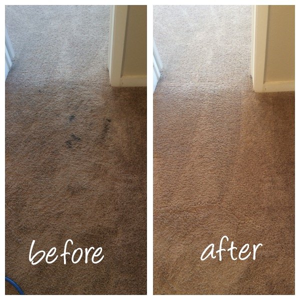 Photo of Infinity Carpet Care