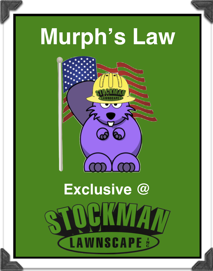Photo of Stockman Lawnscape