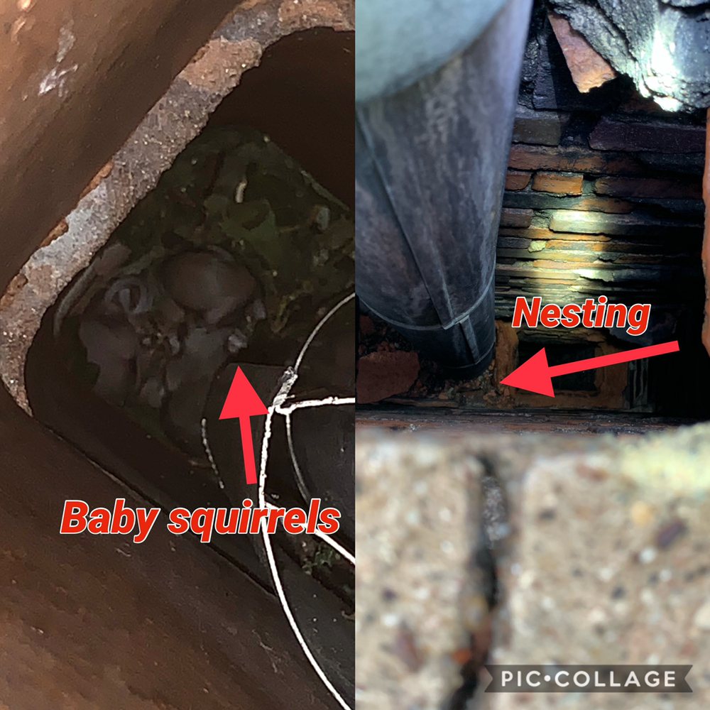Photo of Aaron's Hearth