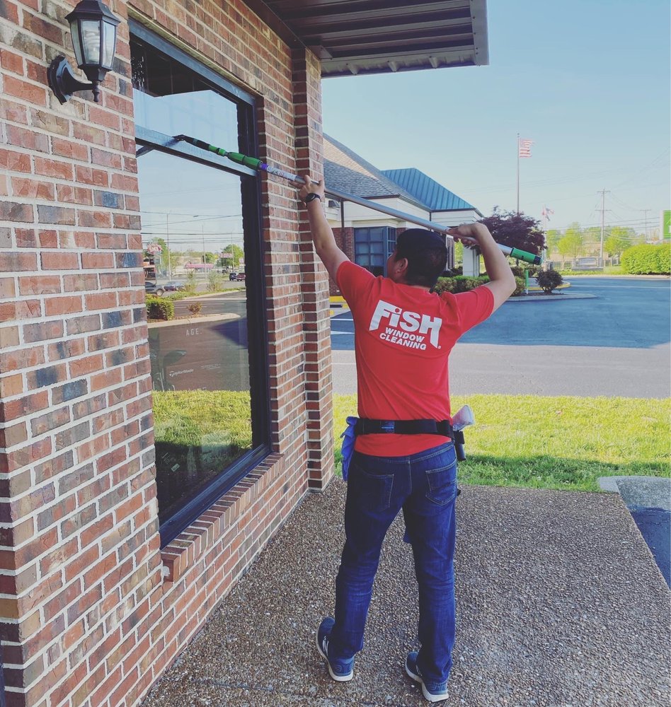 Photo of Fish Window Cleaning