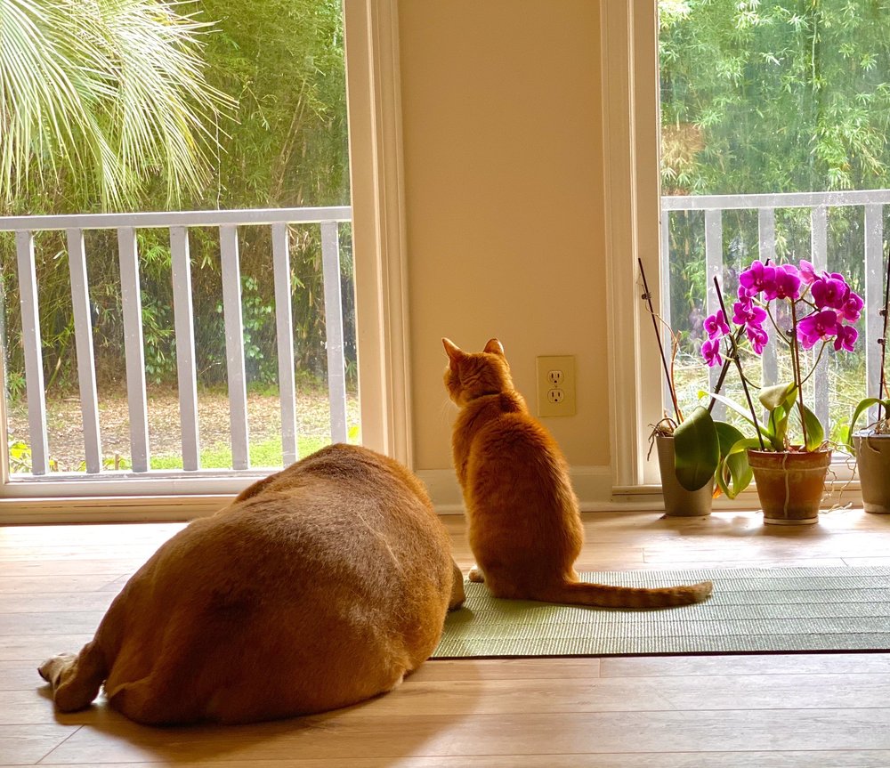 Photo of Oceanview Heating and Air Conditioning
