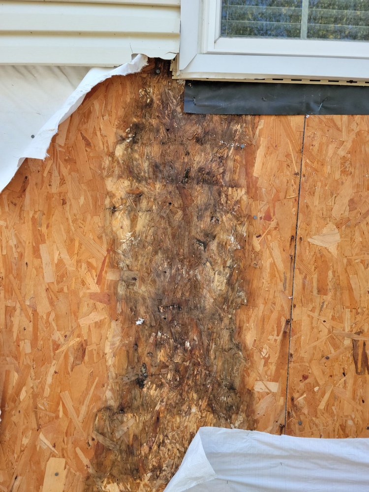 Photo of Beach Windows & Siding