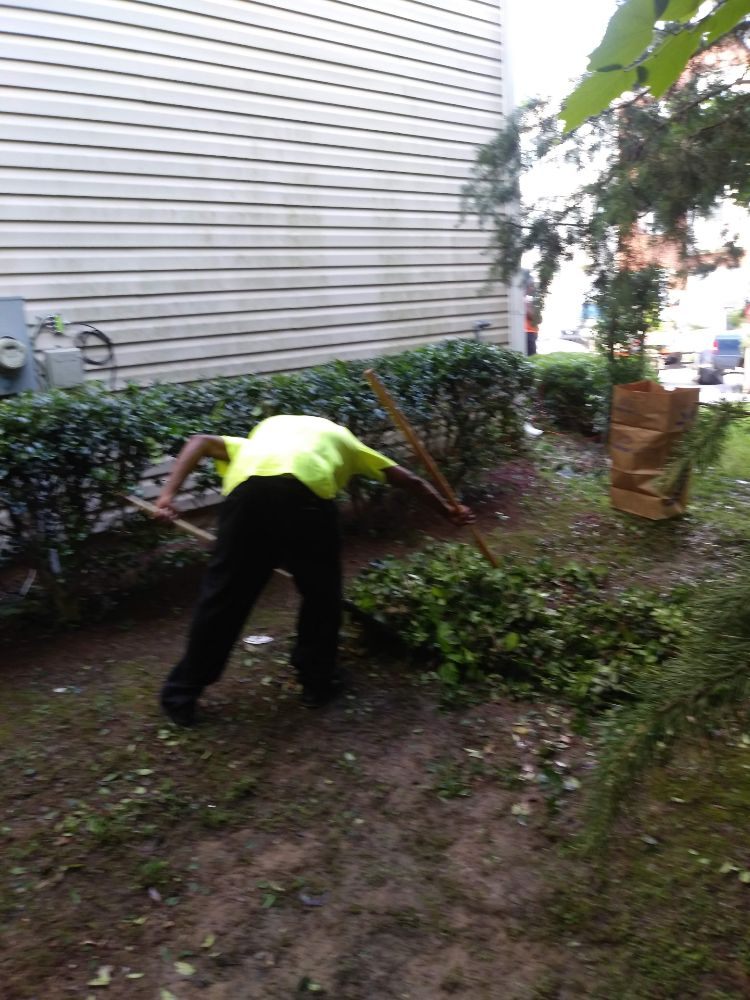 Photo of Bleakworld Lawn Care and Treatment Service