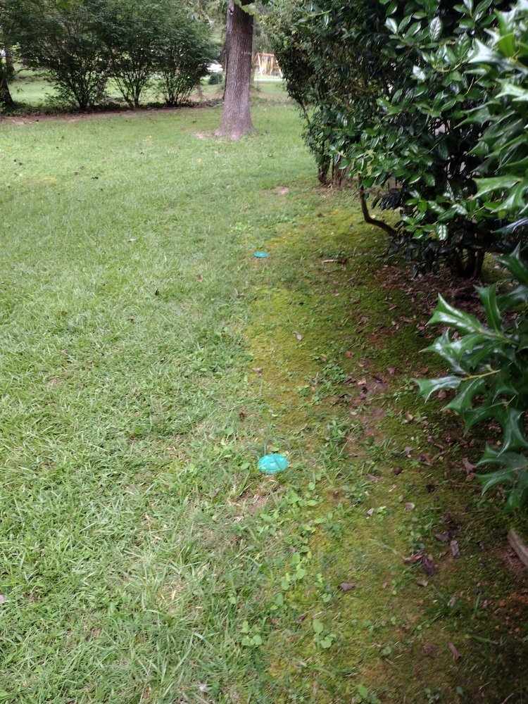 Photo of All above pest solutions