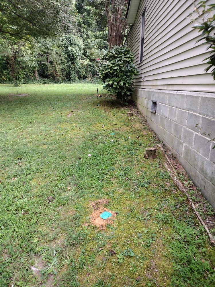 Photo of All above pest solutions