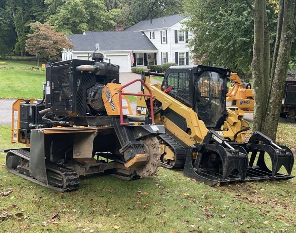 Photo of Jack's Tree Service And Landscaping