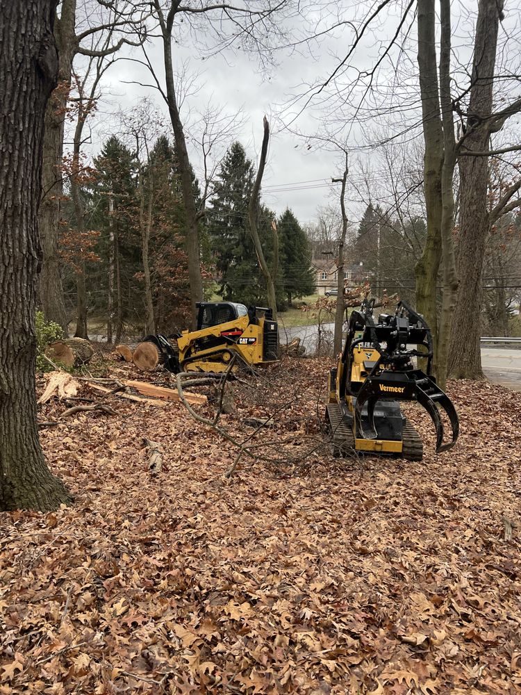 Photo of Jack's Tree Service And Landscaping
